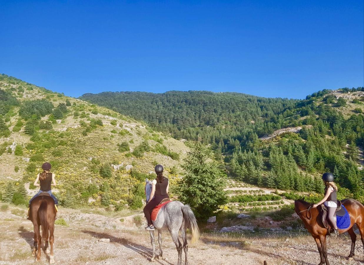 La Maison Des Sources Hotel Ain Zhalta Kültér fotó