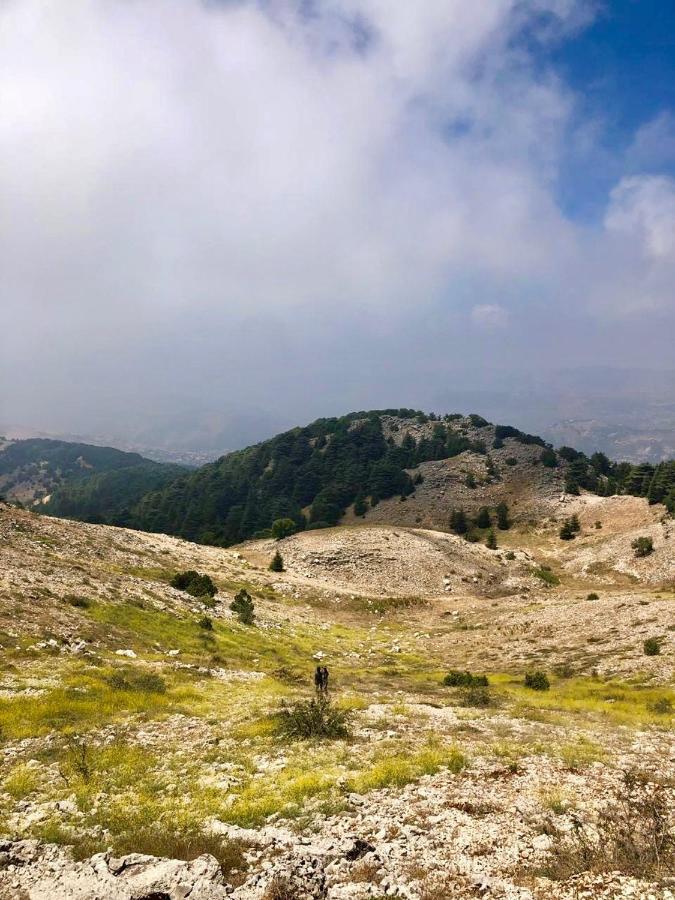 La Maison Des Sources Hotel Ain Zhalta Kültér fotó