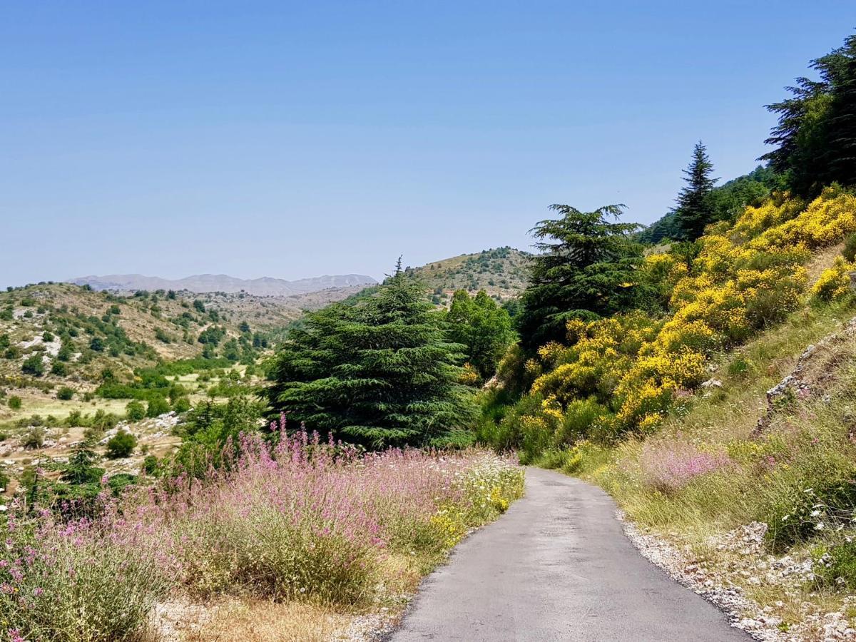 La Maison Des Sources Hotel Ain Zhalta Kültér fotó